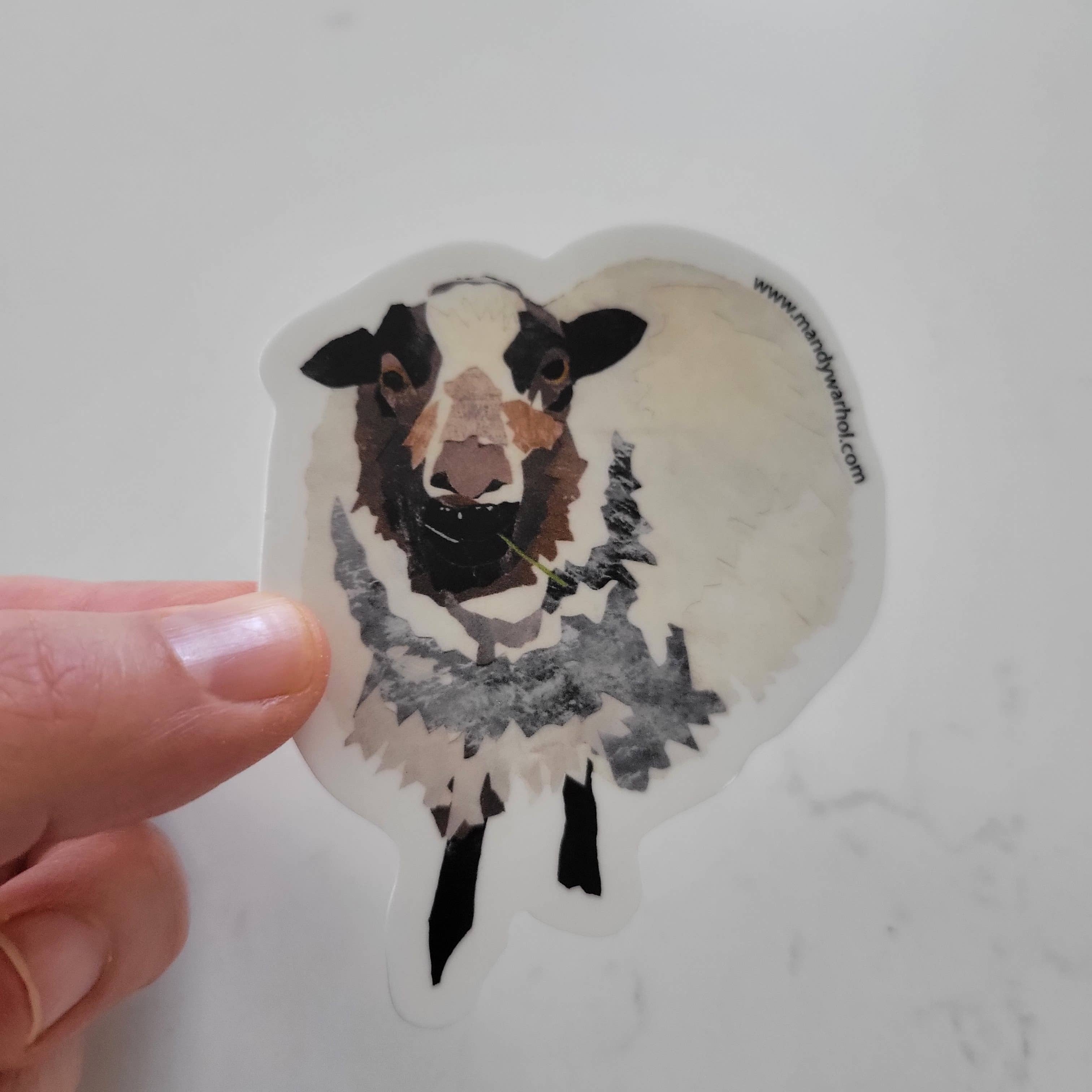 Mandy Warhol Fine Art - Wholesale Sticker - Shetland Sheep Vinyl Sticker2