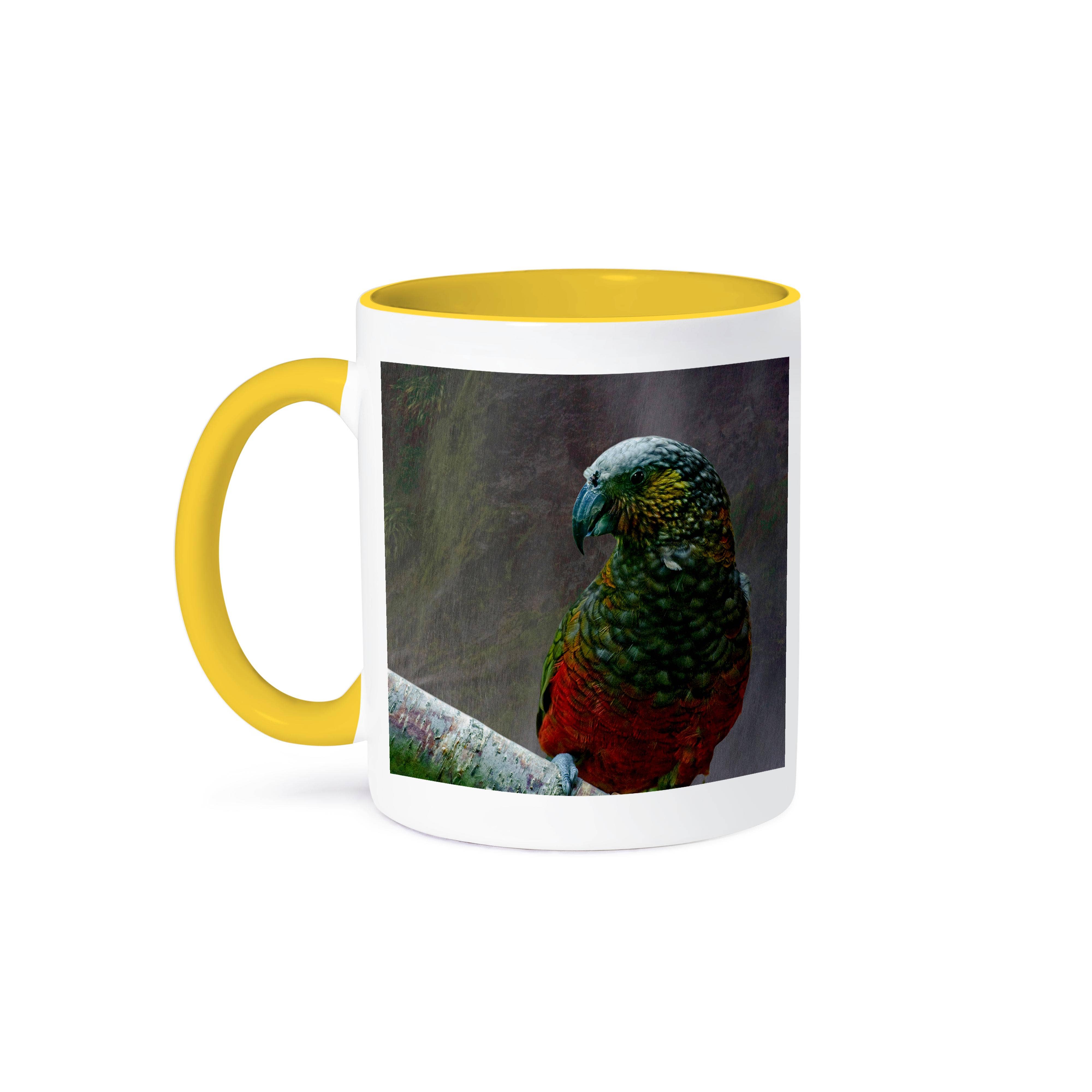 3dRose - Wholesale Coffee Mug - 3dRose, Kaka, New Zealand, mist from waterfall, Milford Sound, Mug0