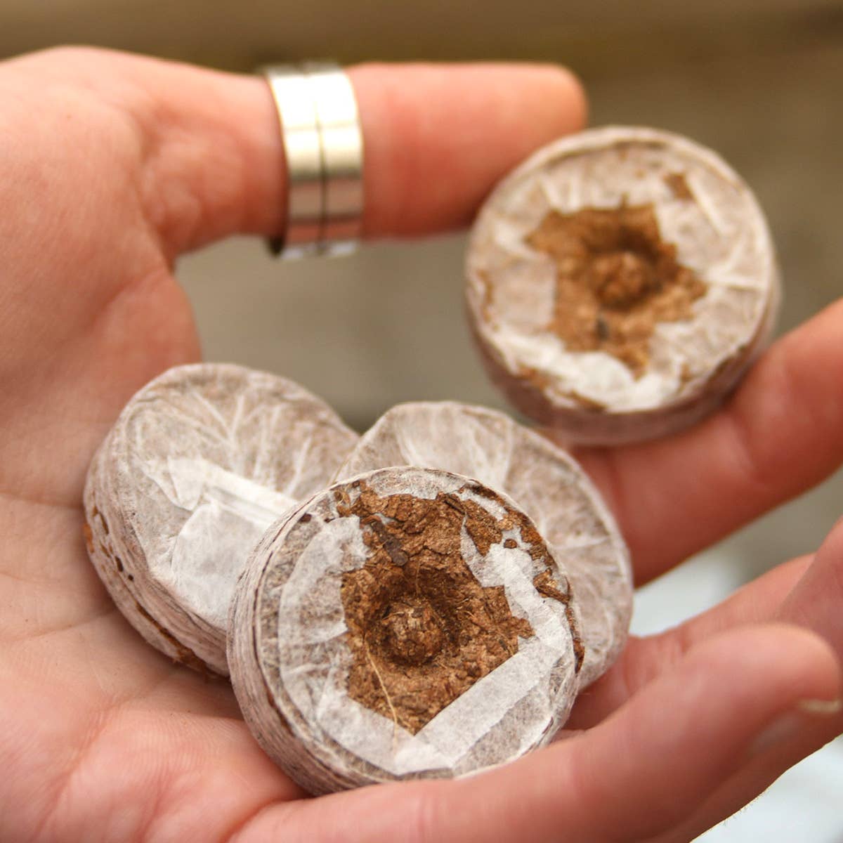 CoirProducts.co.uk of Salike Limited – wholesale Planting/potting soil – Coirproducts (cpuk) 38mm Coircoins (coir Pellets)0