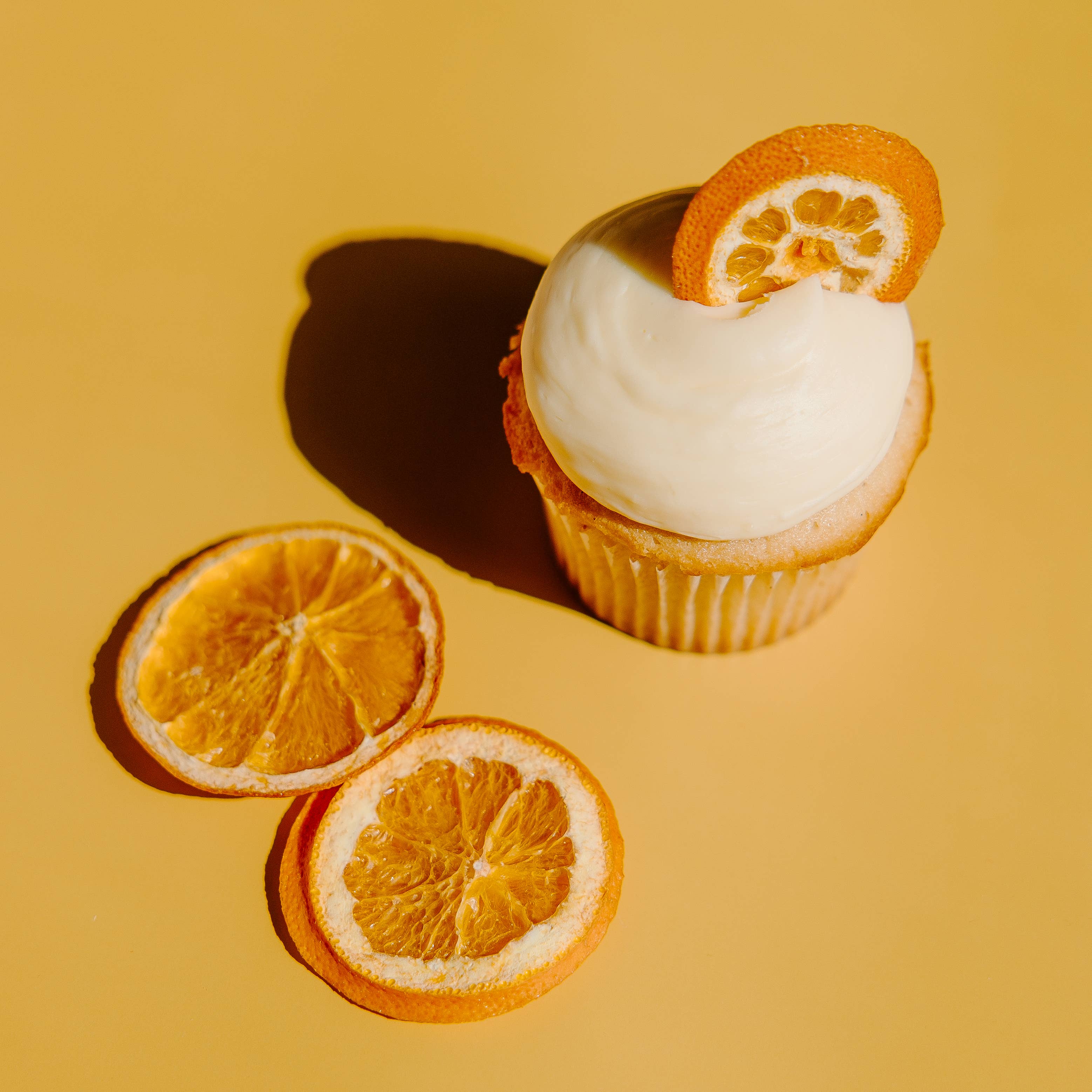 BlueHenry LLC - Wholesale Dried/Dehydrated Fruit - Bulk Dehydrated Orange Wheels2