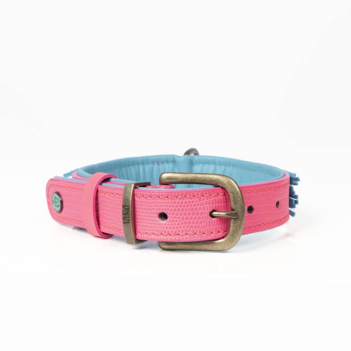 Dog with a Mission - Wholesale Pet Collar - Dog - Indian Summer Necklace5