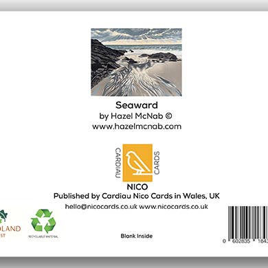 Cardiau Nico Cards - Wholesale Everyday greeting card - NC366 - Seaward - Hazel McNab1