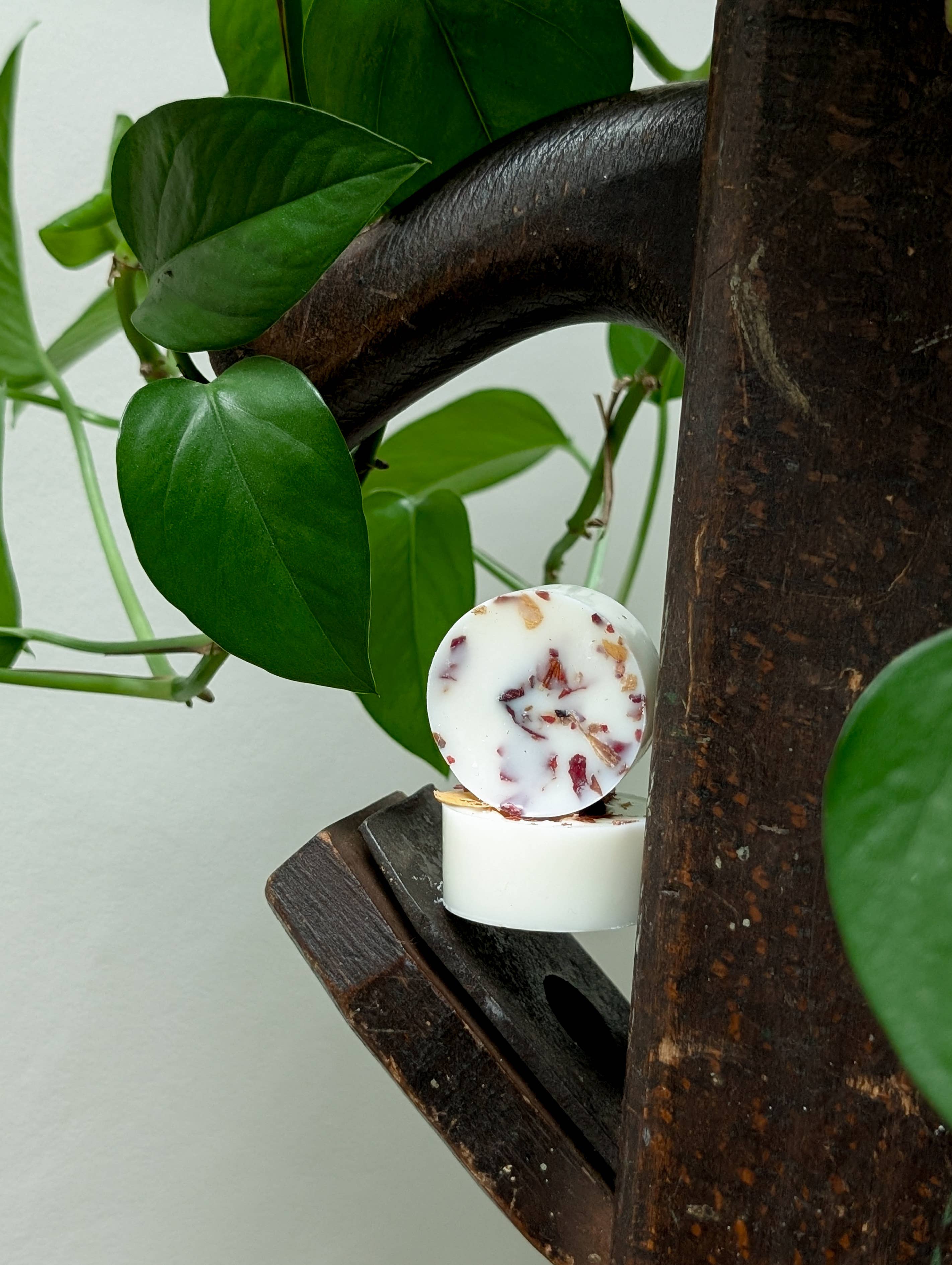 Banksia Botanicals - Wholesale Wax Melt - Cherry Soy Wax Melts0