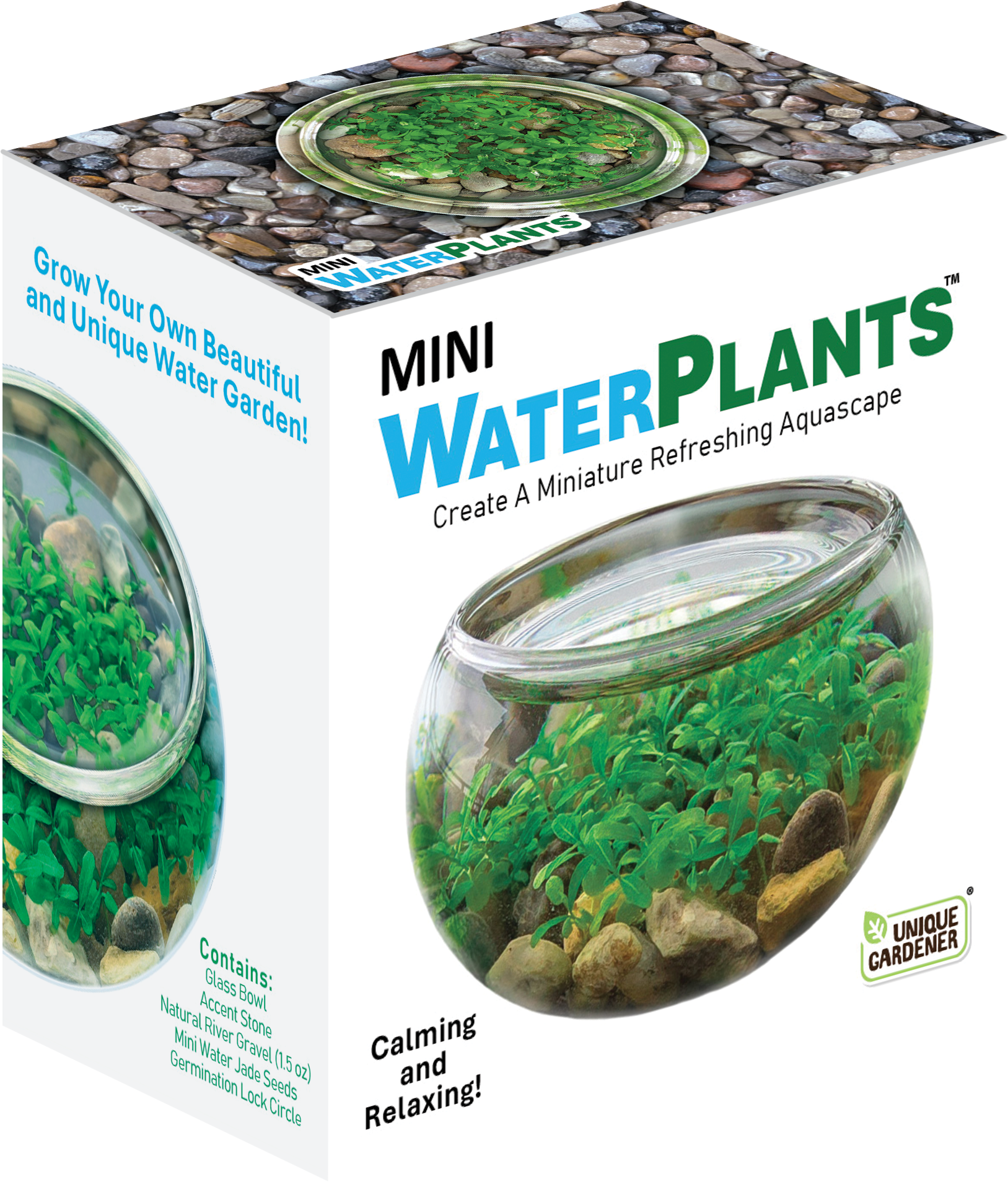 Silver Circle Products - Wholesale DIY Craft Kit - Mini WaterPlants Aquatic Terrarium0