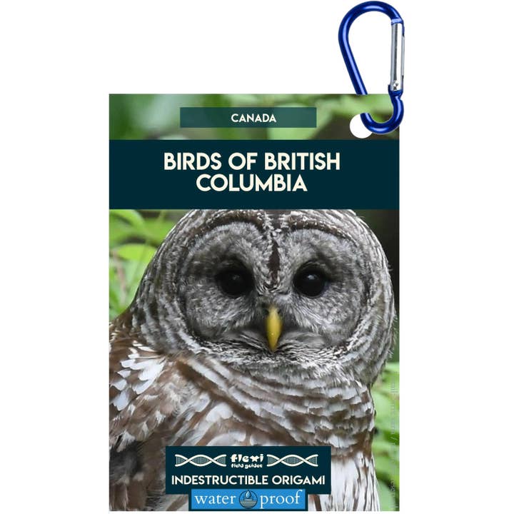 Uccelli della Columbia Britannica-Origami Indistruttibile per la vendita all'ingrosso da parte di Flexi Field Guides