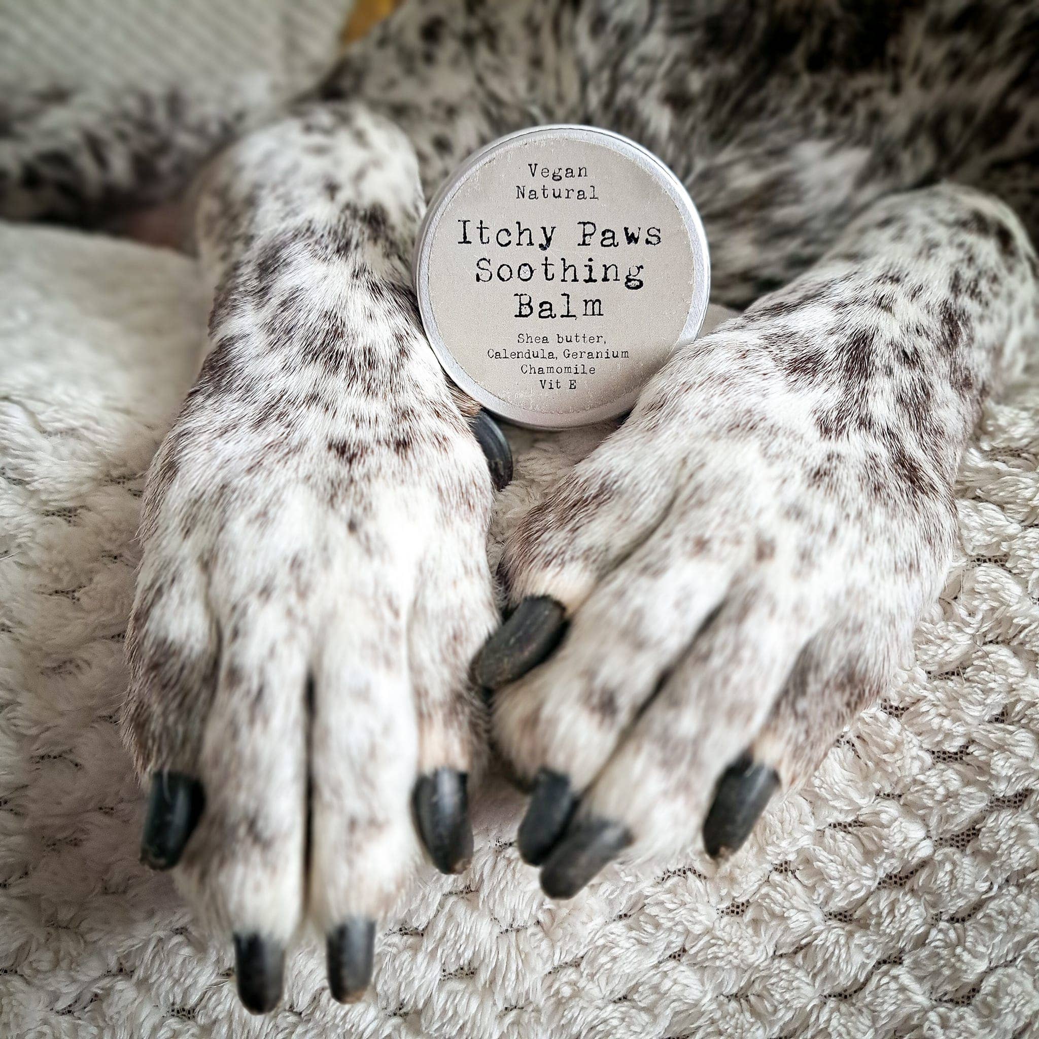 Paws Right There - Luxury Pet Care and Gifting - Wholesale Pet Paw Protection - Itchy Paws Dog Balm – Natural, Vegan, Lick-Safe,  Soothing 2