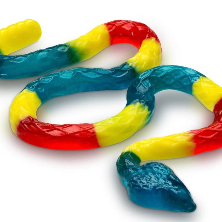 O'Shea's Candies Sweet Shop - Wholesale Gummy - Gummy Rainbow Rattlesnake ๐ 24 Inch Length ย 1PK