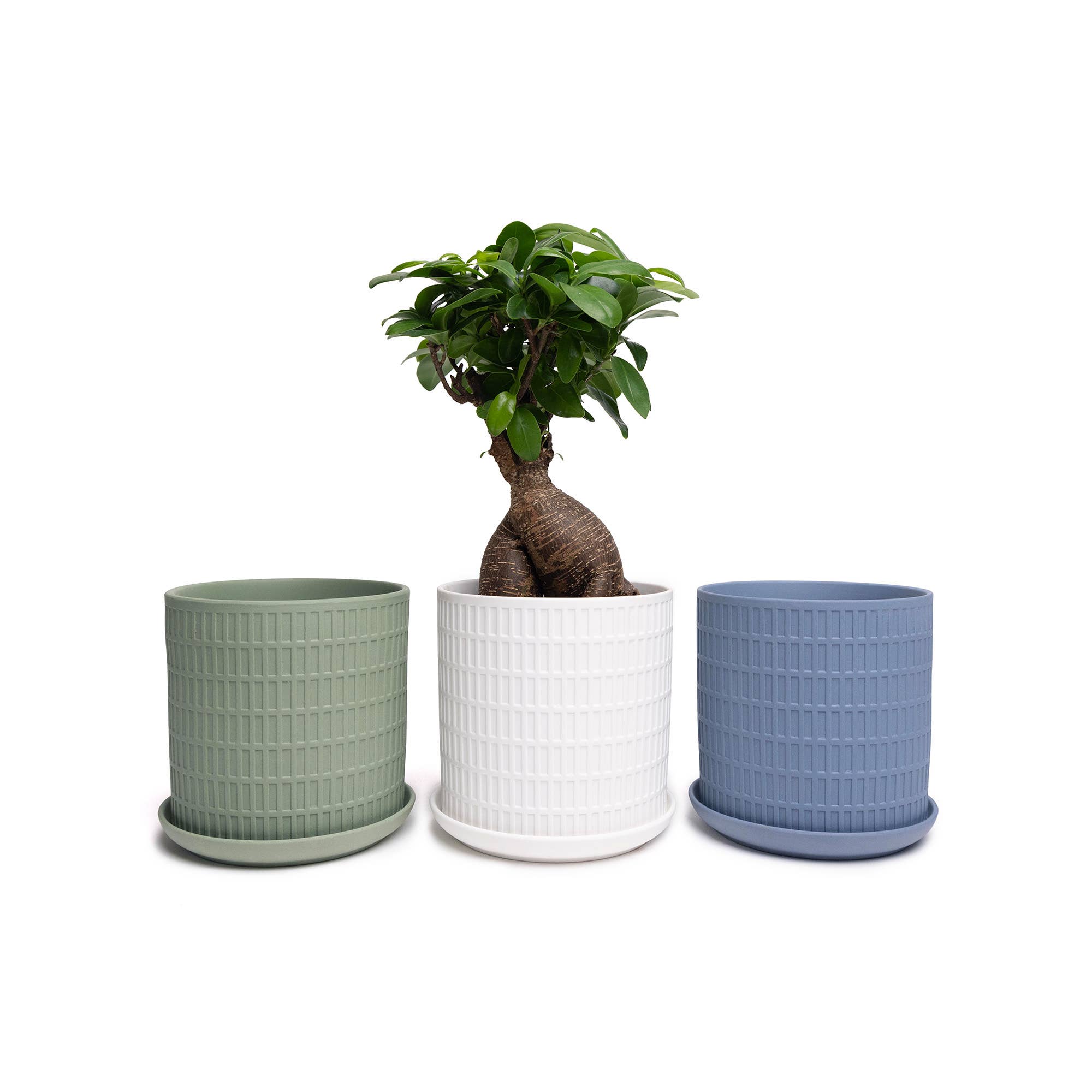 Chive - Wholesale Plant Pot - Handmade Ceramic Virago Pots | Artisan Plant Planters6