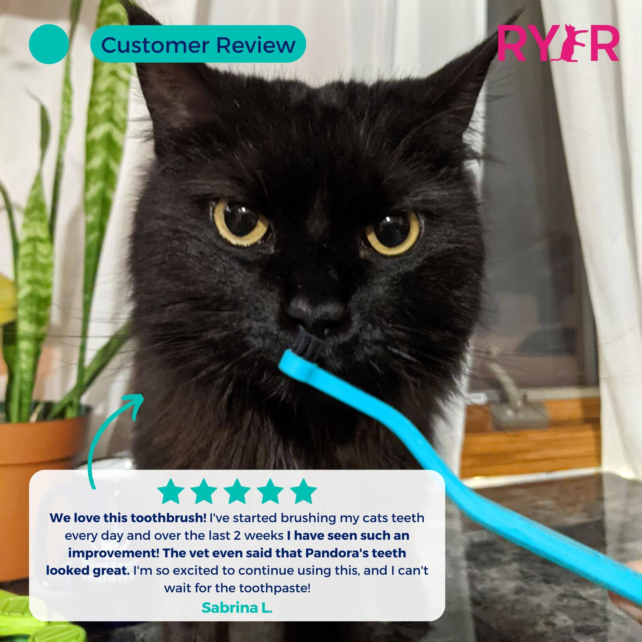 RYERCAT - Vente Brosse – chat et chien - Lot de brosses à dents à micro-tête et double face pour chat, couleurs mélangées !8