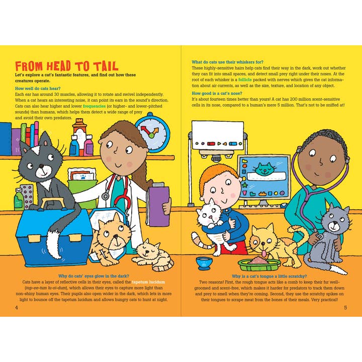 Peter Pauper Press - Wholesale Book - Kids - 100 Questions about Cats