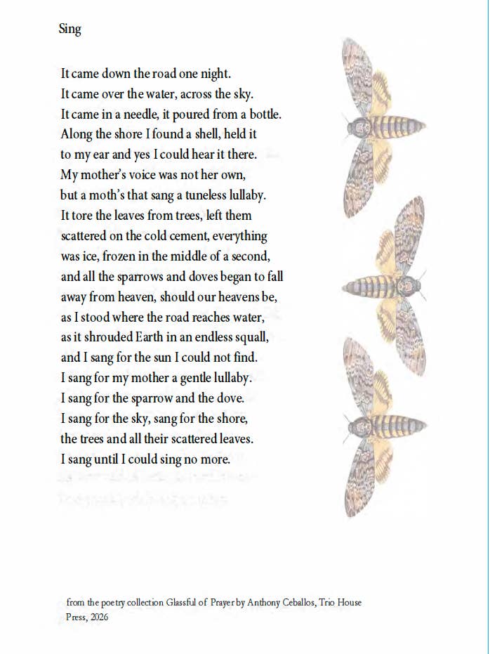 "Zing" door Anthony Ceballos - Ansichtkaart Broadside voor wholesale door Trio House Press