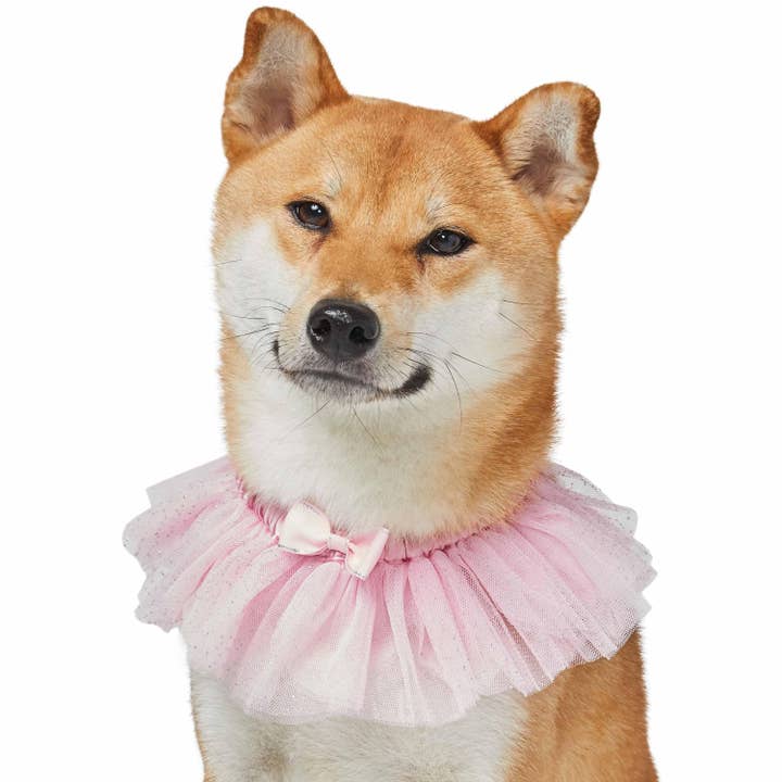 Blueberry Pet - Wholesale Pet collar – Dog - Lace Dog Collar with Embroidered Mesh and Bowtie4