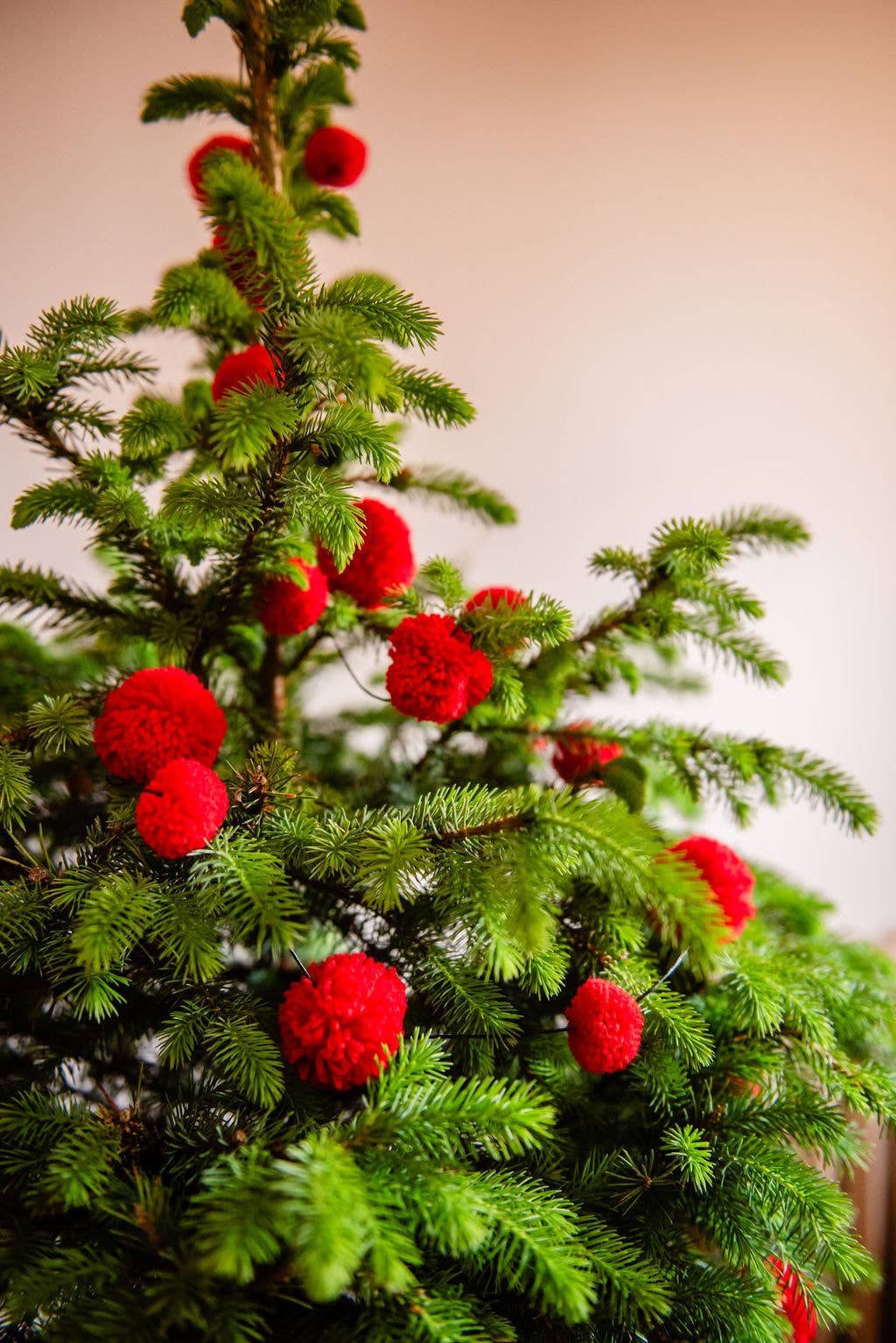 PomPom Galore - Wholesale Kerstdecoratie - Kerstmis Rode Pom Pom Slinger4