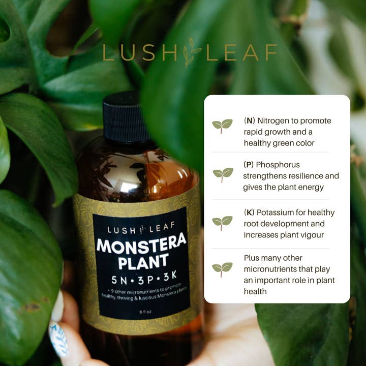 Lush Leaf - Wholesale Fertilizer - Monstera Plant Food1