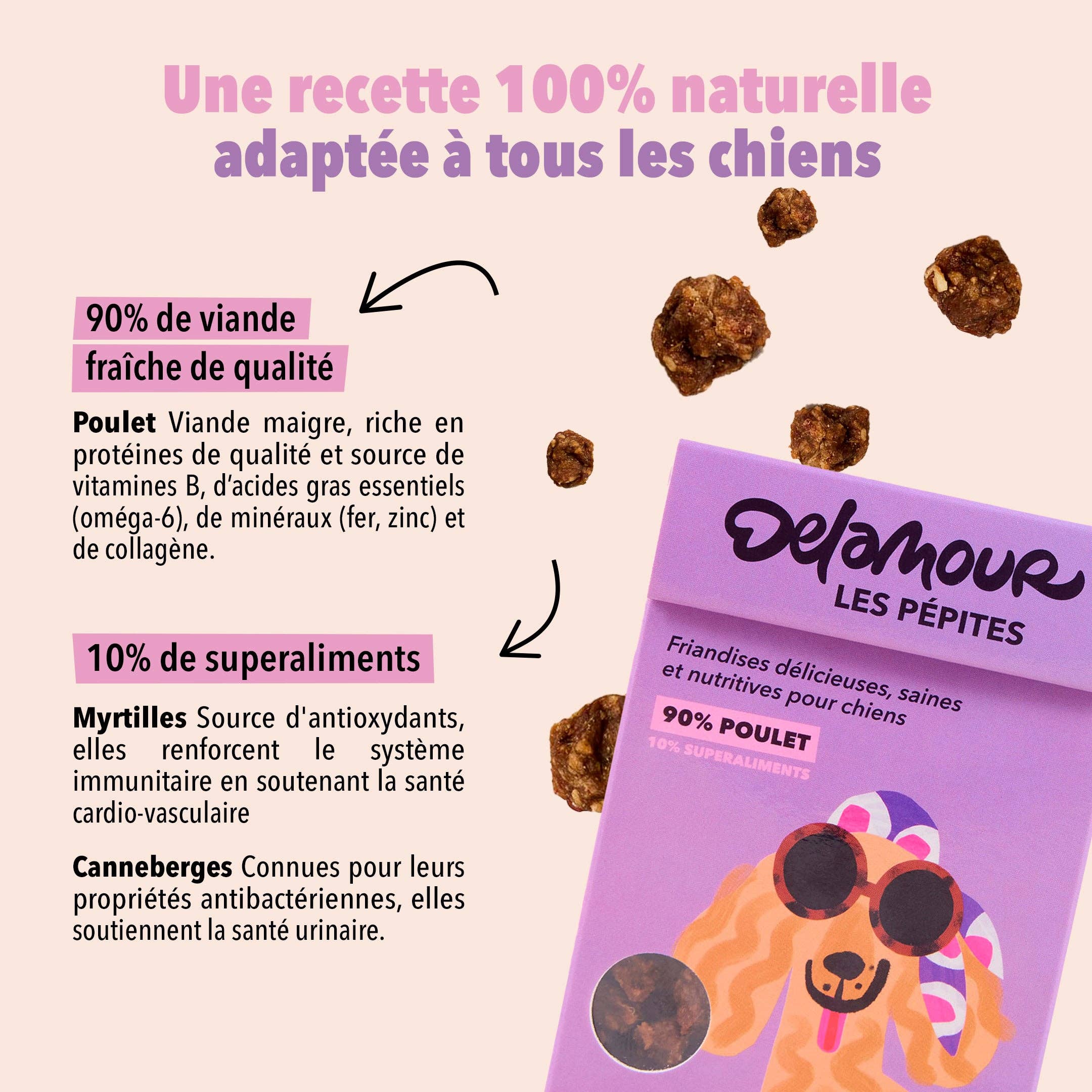 Delamour - Wholesale Pet Treats - Dog - Les Pépites - Air-dried chicken snacks (75g)2