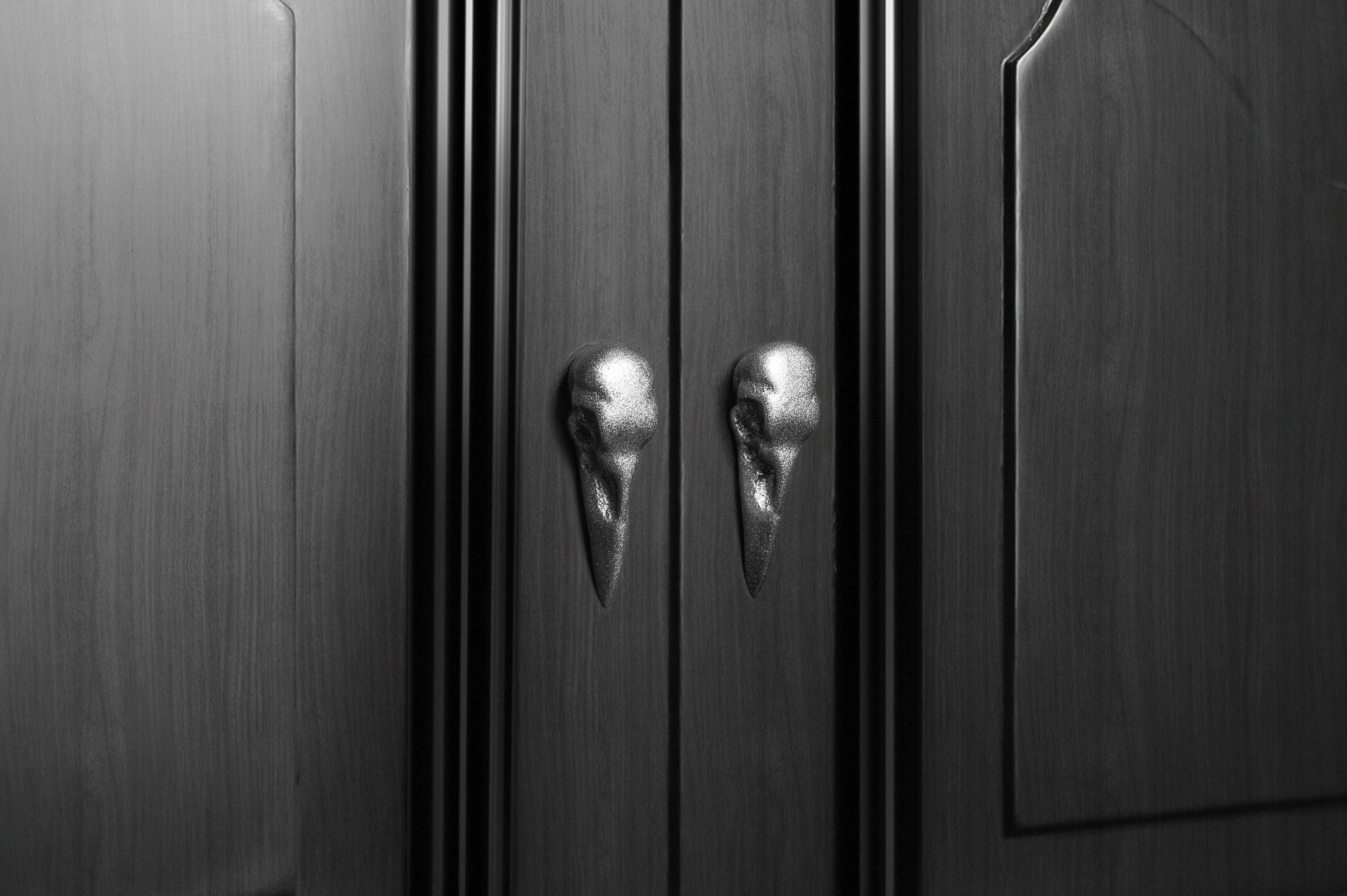 G7T6 – Engroshandel Knap/træk – Raven Skull skabs- og skuffegreb, moderne design6