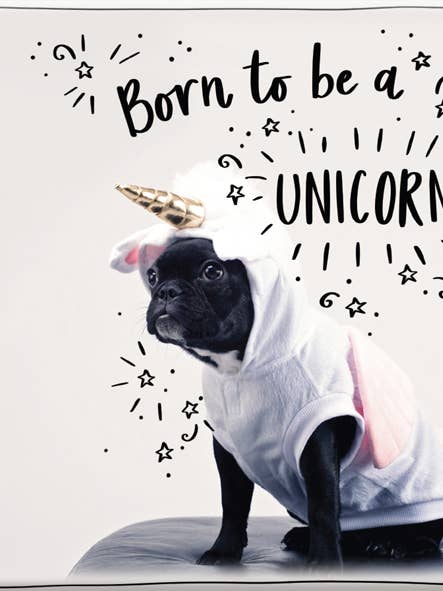 Mt238 | Nascido Para Ser Um Unicórnio | £1,25 Cada por atacado de WPL Gifts