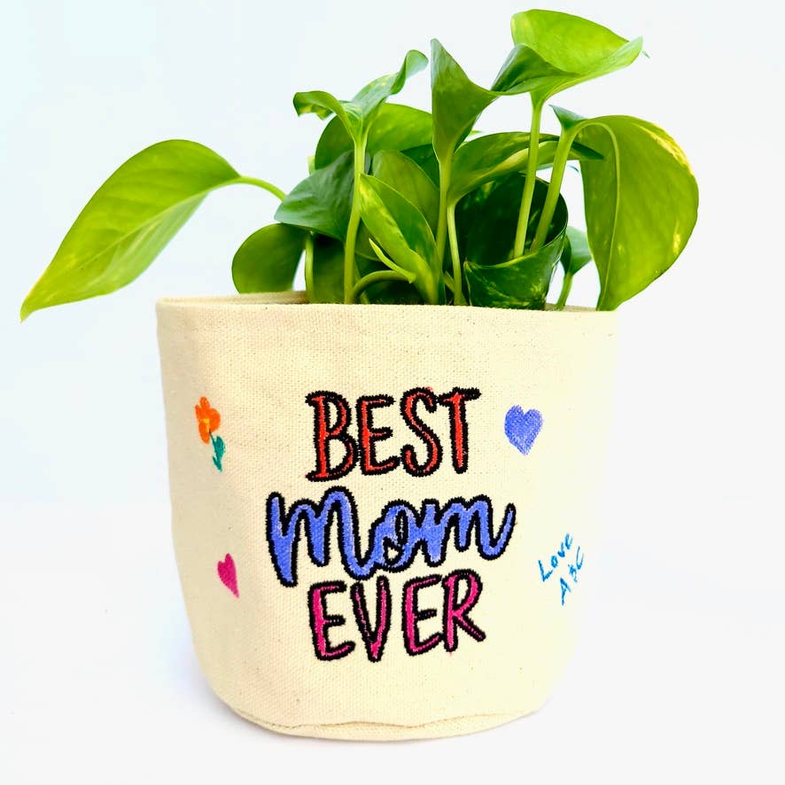 Leaf and Root Co. – Vaso de plantas por atacado – Melhor plantador de lona de algodão colorido de 4 “para mamãe1