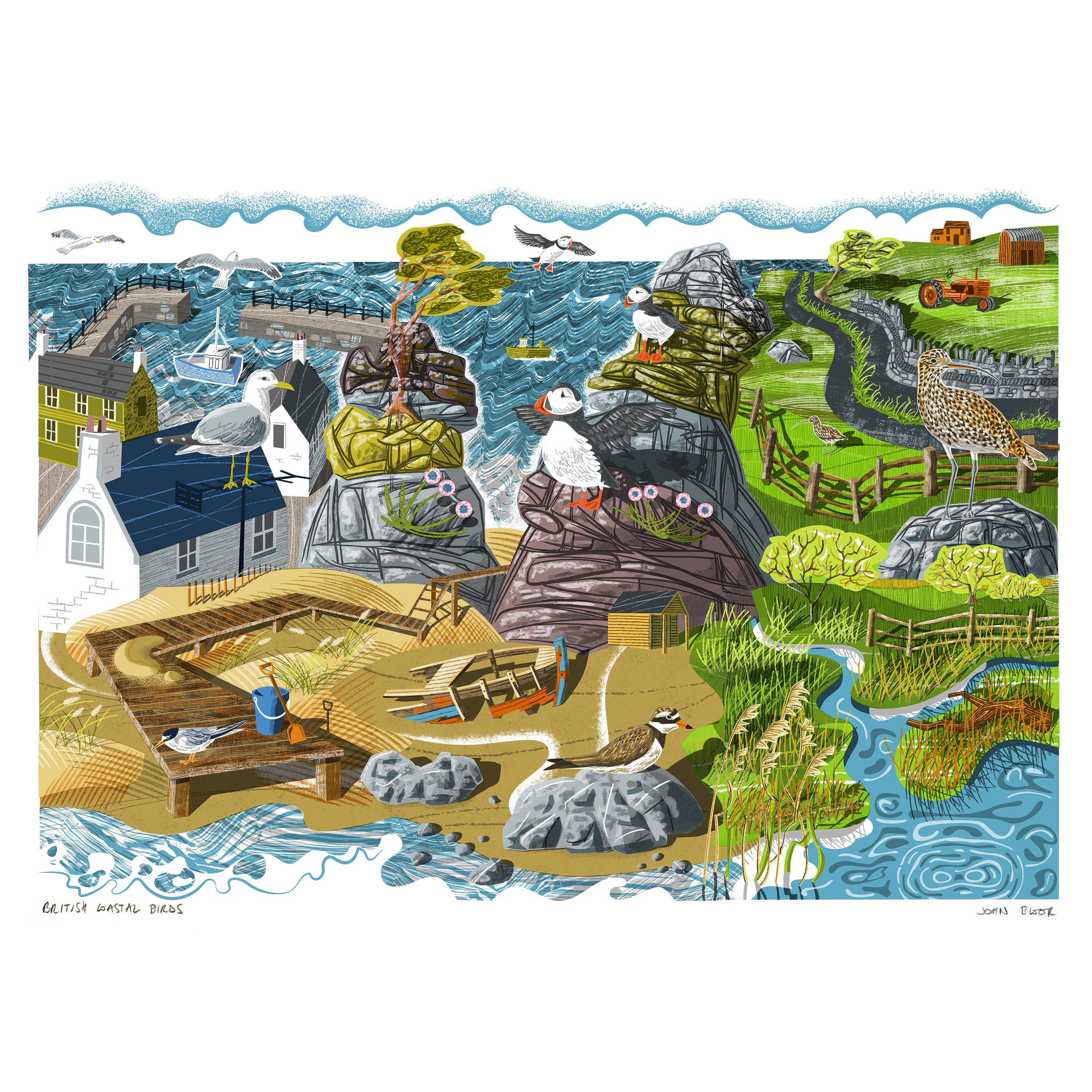 John Bloor Printmaker - Wholesale Art Print - British Coastal Birds digitally printed print1