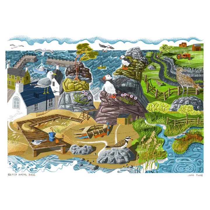 John Bloor Printmaker - Wholesale Art Print - British Coastal Birds digitally printed print1