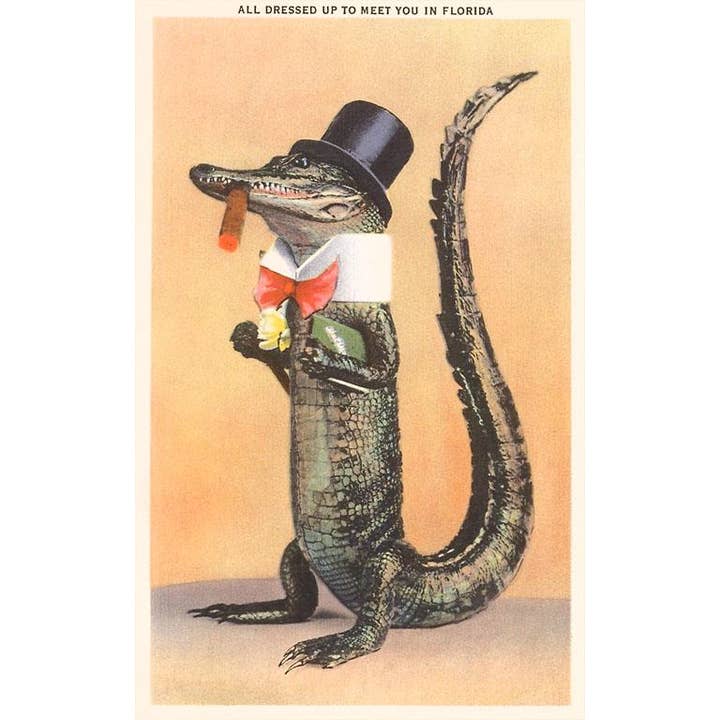 Found Image Press - Wholesale Postcard - Postcard FL-795 Alligator in Top Hat