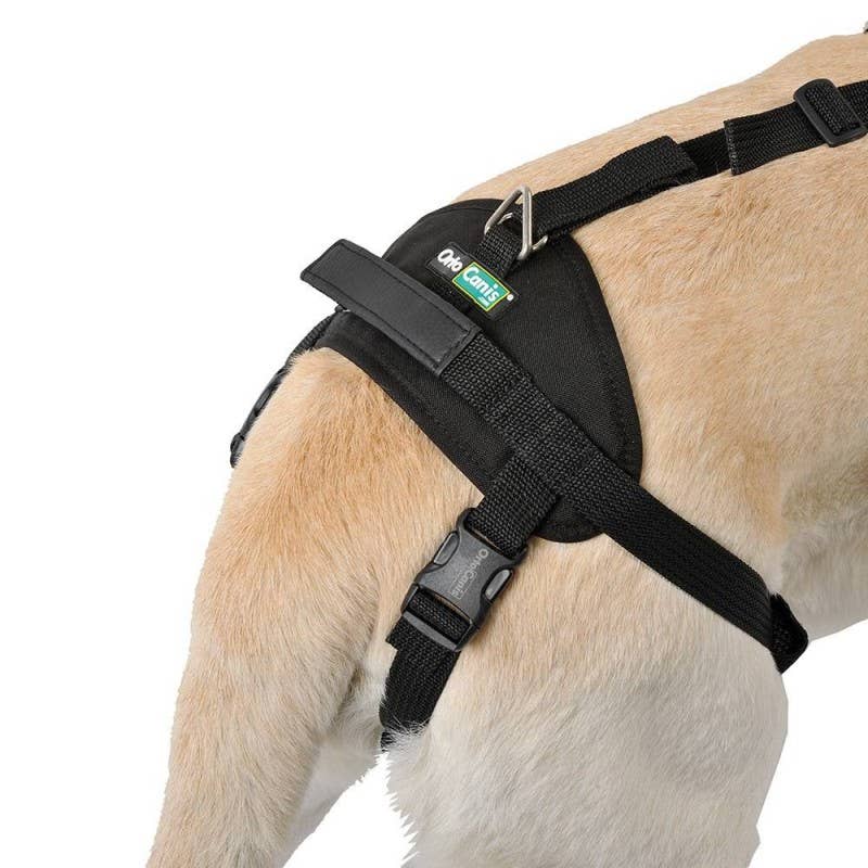 Ortocanis – wholesale Pet harness – Dog – Ortocanis Full Body Dog Harness4