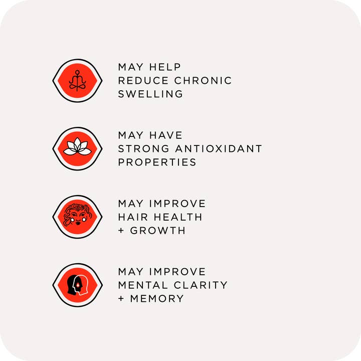 Joon Spice - Wholesale Salt - Khwera Fine Pink Salt2