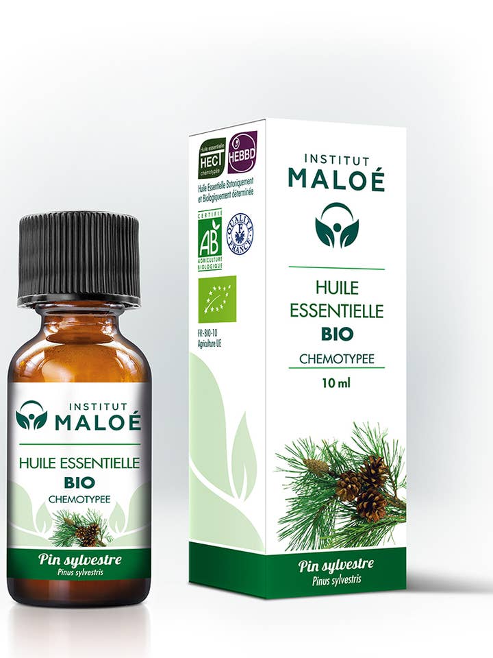 Organic Scots pine essential oil - 10 mL for wholesale by Institut MaloƩ