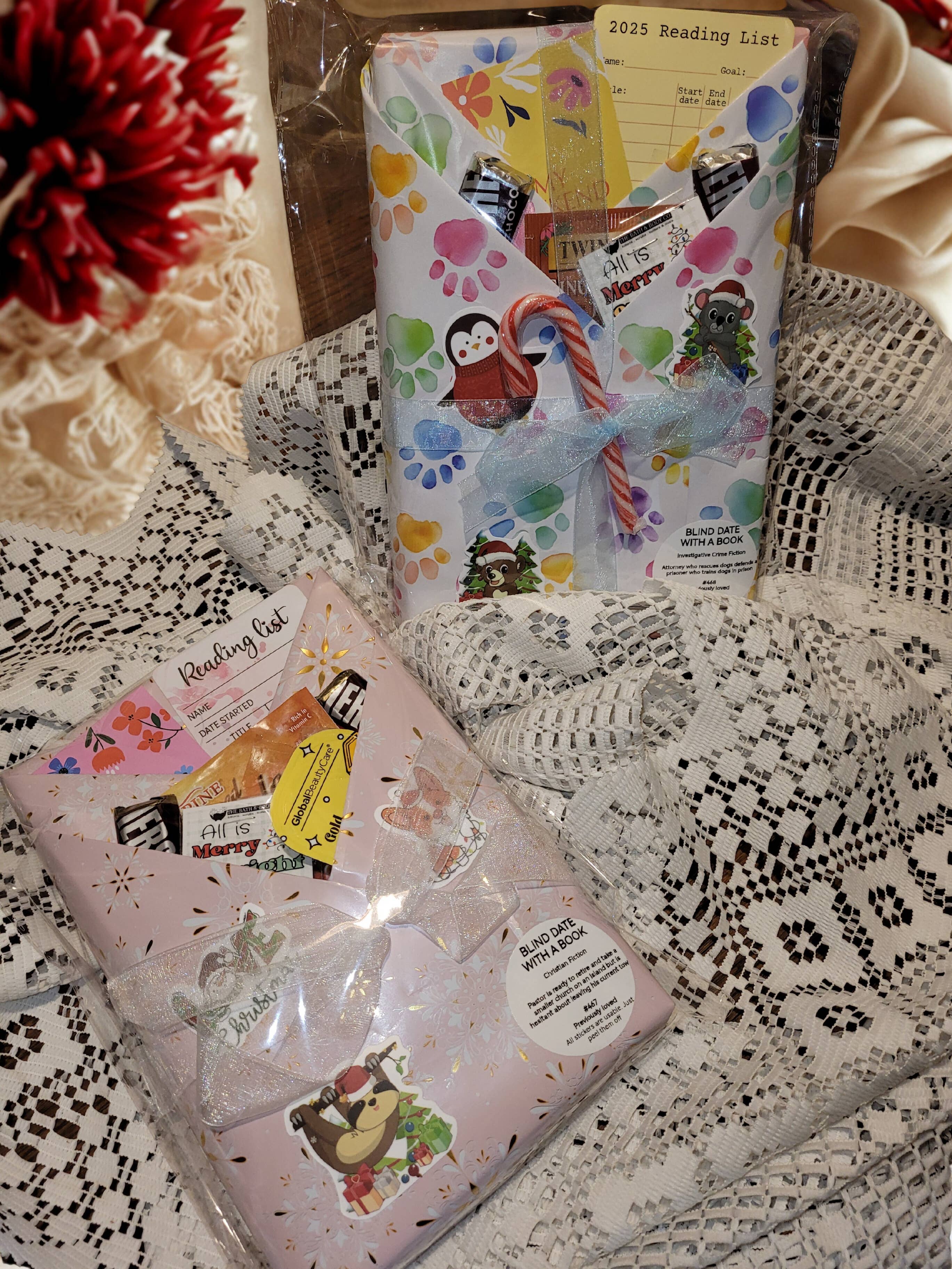 Bearly Hyde N Cabin Used Books & Gifts - Wholesale Contemporary & Literary Fiction - Blind Date with a Book (Previously Loved) Fiction