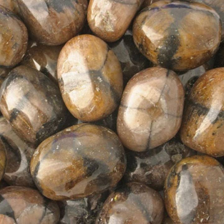 Chiastolite China A (tumbled stone) for wholesale by La Boîte à Cailloux