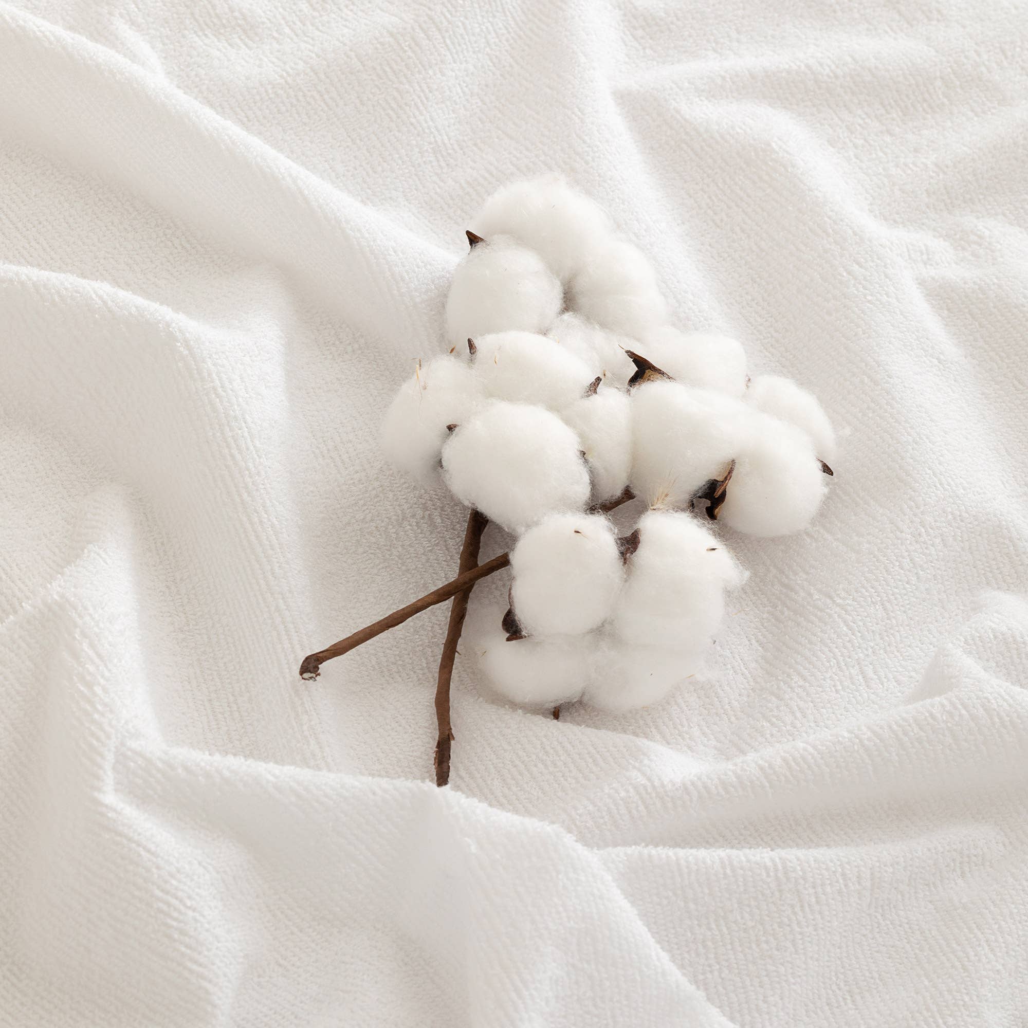 GAMUSI - Wholesale Mattress Pad/Protector - 100% cotton terry soft waterproof mattress protector3