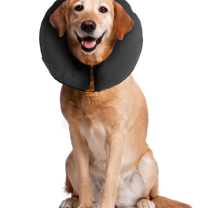 ZENPET - Wholesale Pet Collar - Dog - ZenCollar - Inflatable Recovery Collar4