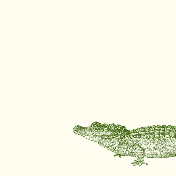 Alexa Pulitzer - Wholesale Stationery/Notecard Set - Swampy Gator Monarch Notes