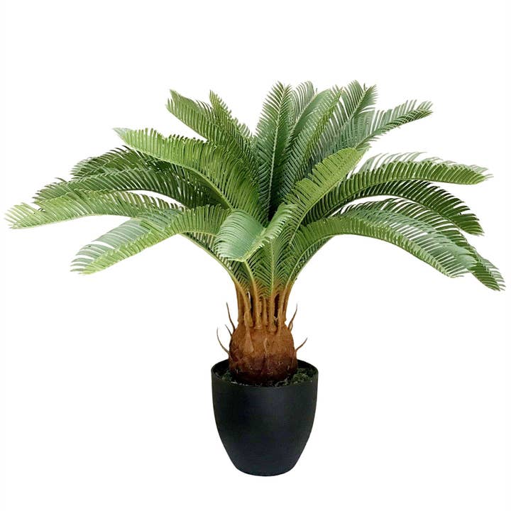 Grote Kunstmatige Palmboom 70cm Cycas Plant VK voor wholesale door Leaf Design UK LTD
