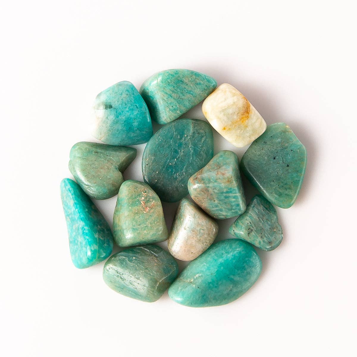 Tree of Life Gems - Wholesale Spiritual Stone/Crystal - Medium Tumbled Amazonite3