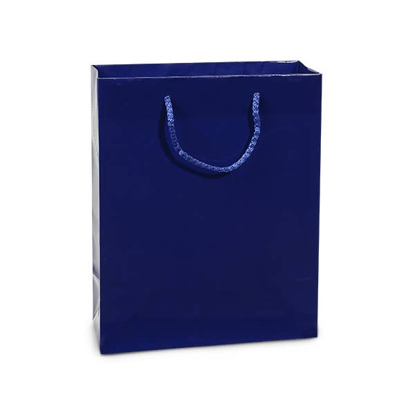 Nashville Wraps - Wholesale Gift Bag - Gloss Paper Rope Handle Gift Bags41