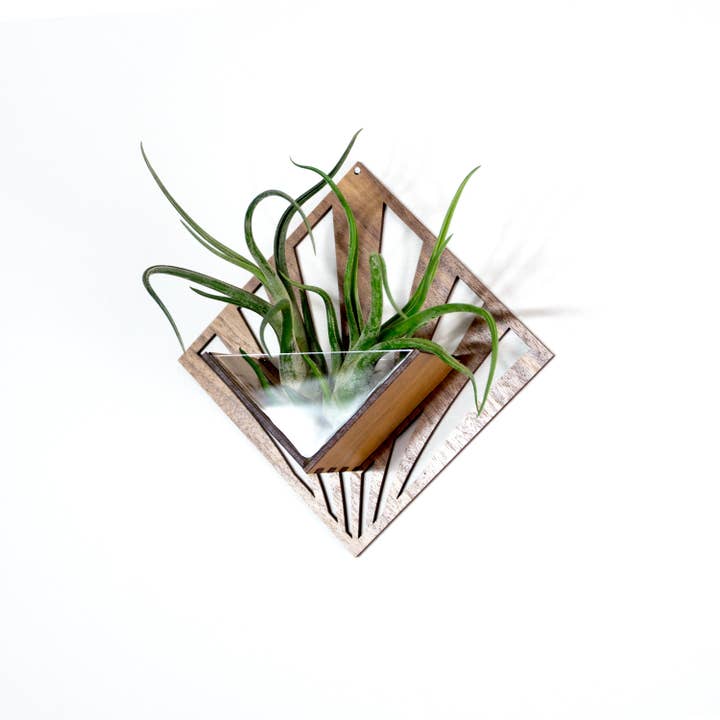 LIGHT RAZOR DESIGN STUDIO - Wholesale Wall planter - Air Plant Holder / Quadrate Wall Hanging Planter 23