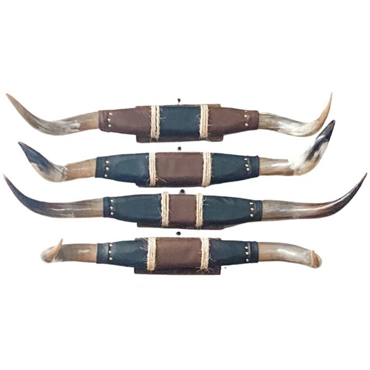 El Paso Saddleblanket - Wholesale Wall Accent - Polished Mounted Horns