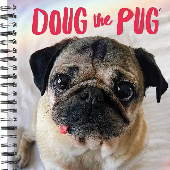 Doug the Pug 2026 Engagement Calendar, Spiral Planner for wholesale by Willow Creek Press & Gifts