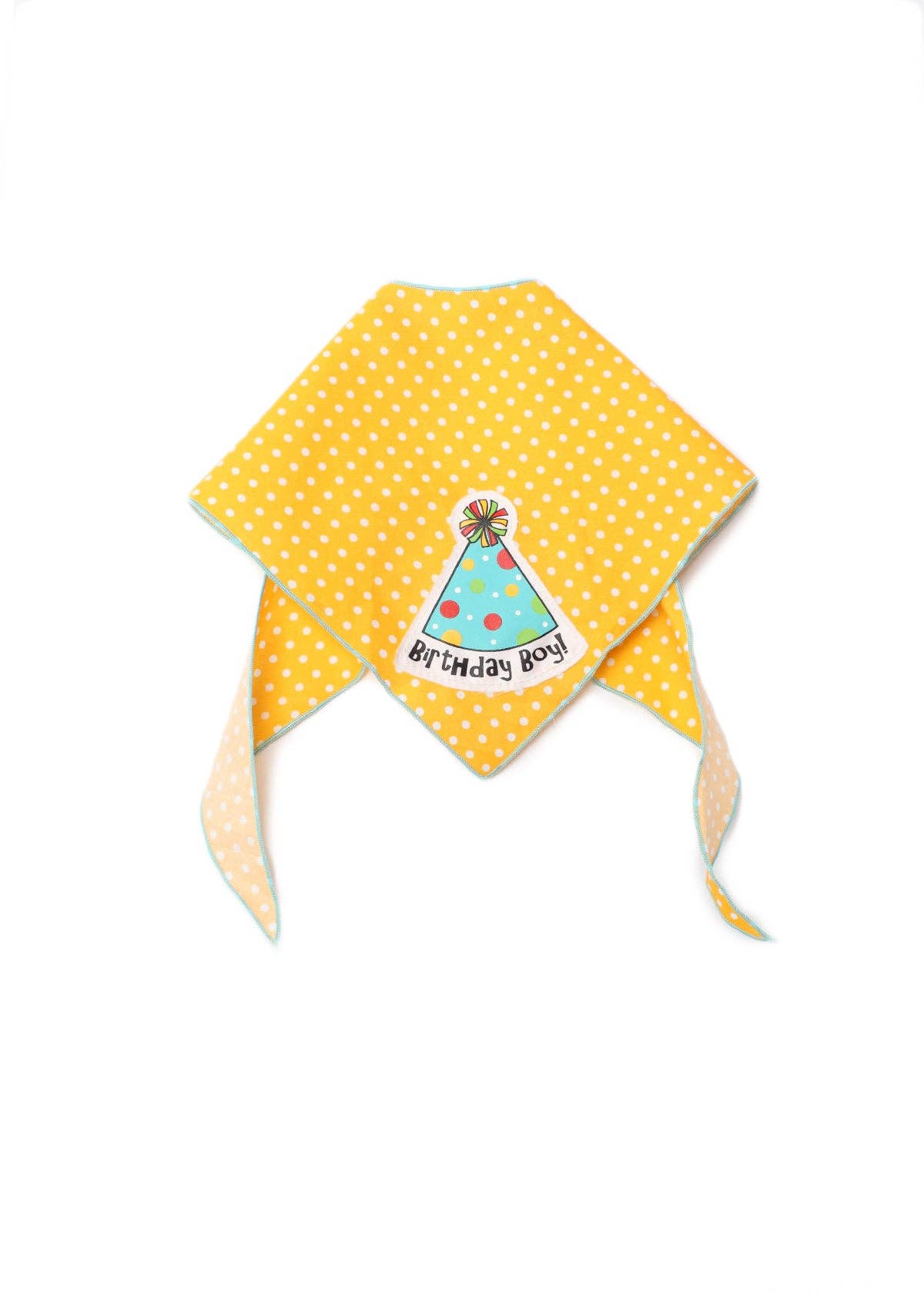 Blue Birthday Boy Hat for wholesale on Faire4