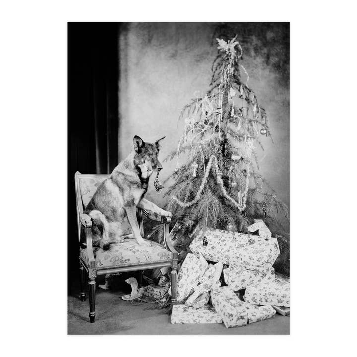 Ansichtkaart "Pijpje voor het feest" voor wholesale door paruspaper. nutzfeine papeterie