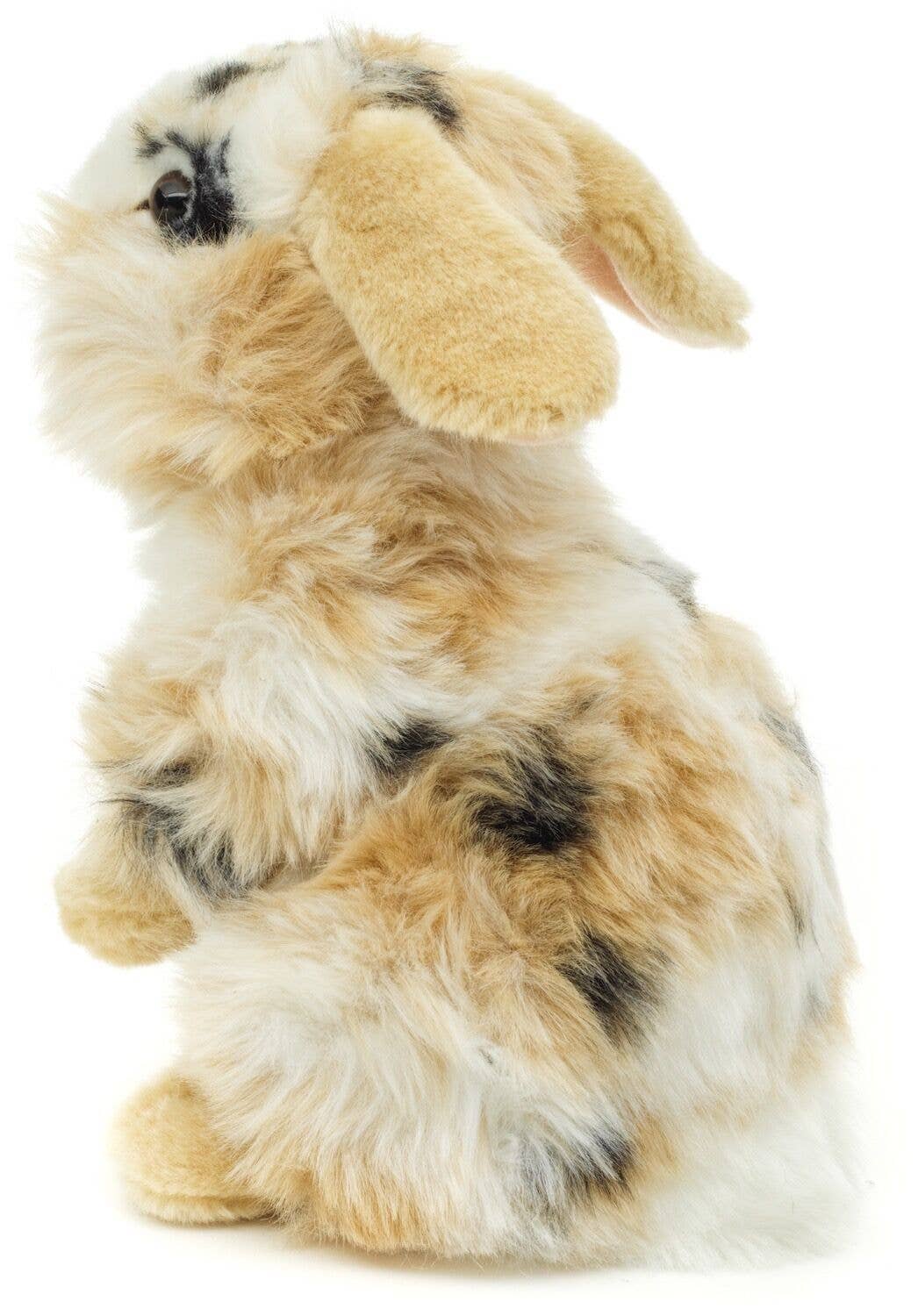Uni Toys - Wholesale Stuffed/Plush Toy - Kids & Baby - Lionhead rabbit, st. (s/b/w) - 23 cm - cuddly/plush toy2