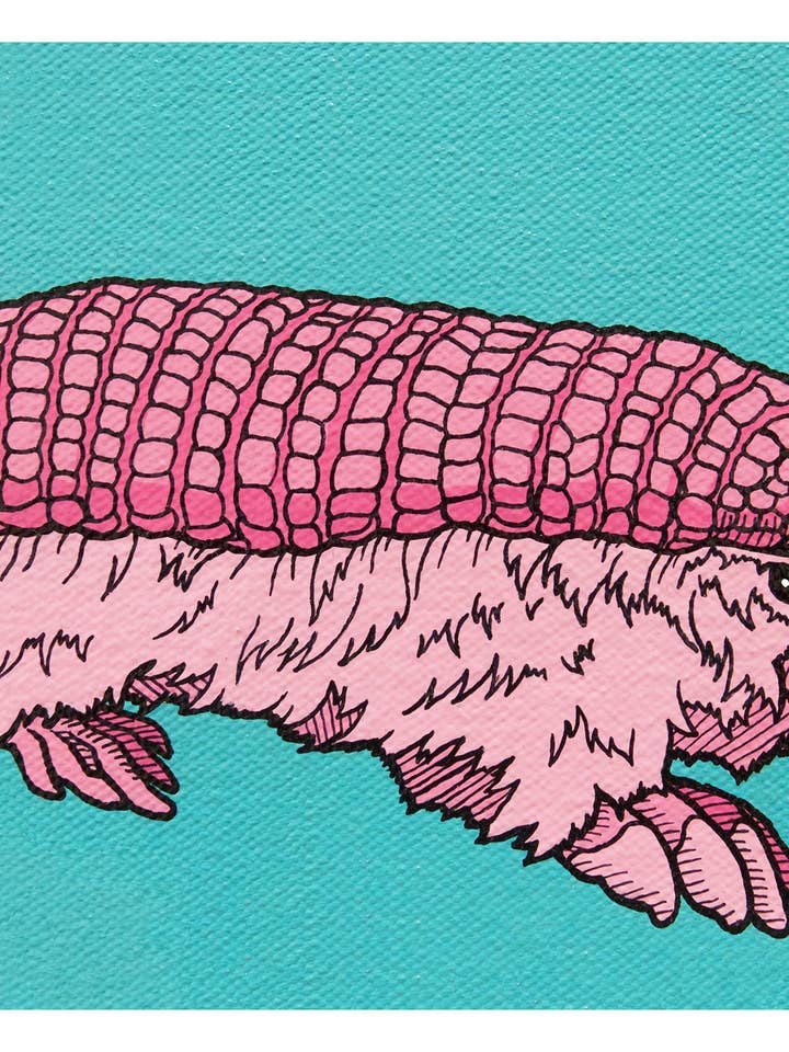 Pretty Pink Fairy Armadillo Art Print for wholesale by Pop Zoo
