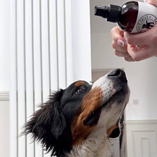 HugglePets – wholesale Pet spray – Dog – HugglePets Bubbly Tails Dog Cologne20