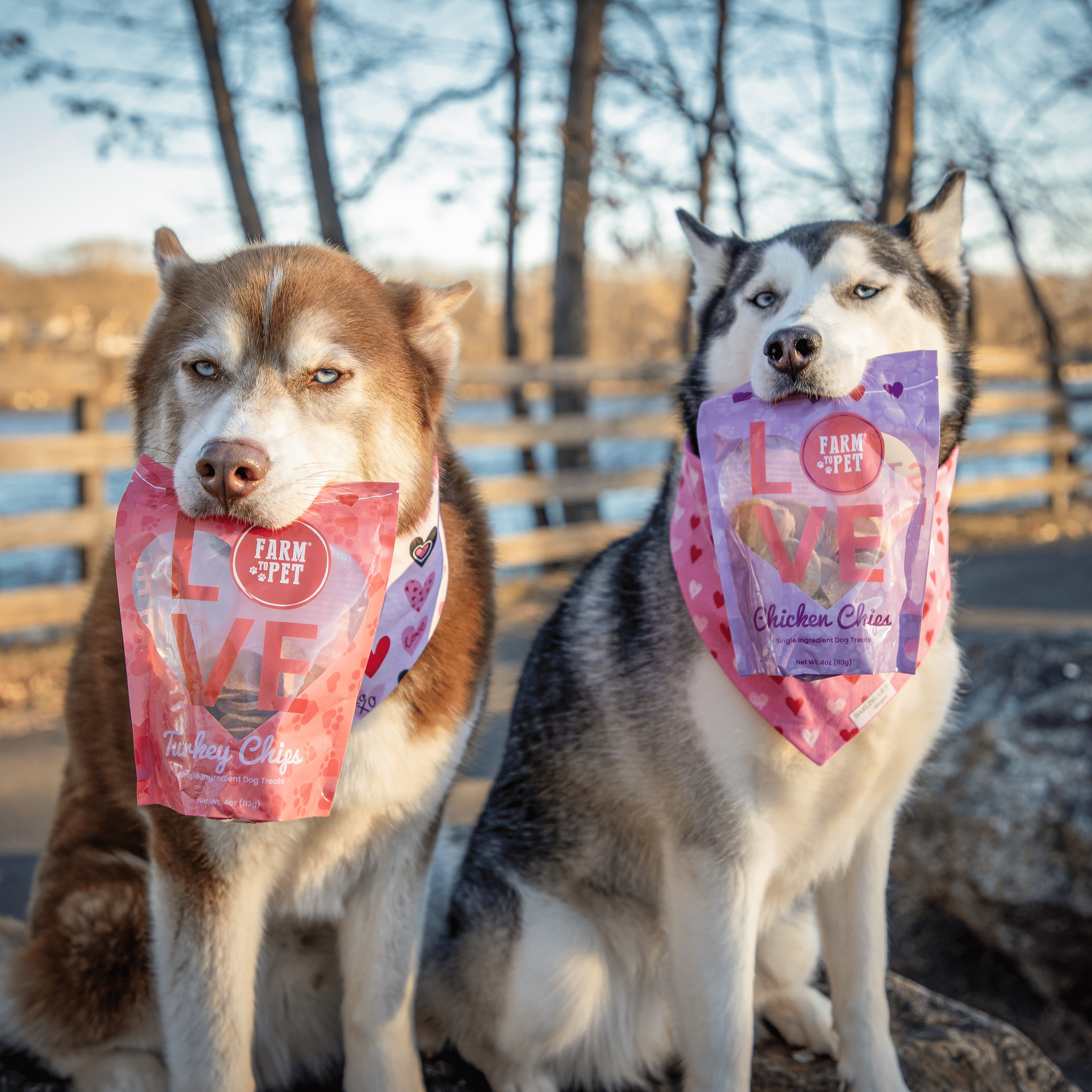 Farm to Pet Healthy Treats for Dogs & Cats - Wholesale Pet Treats - Dog - Dog Treat Valentine Bundle (12 pack)3