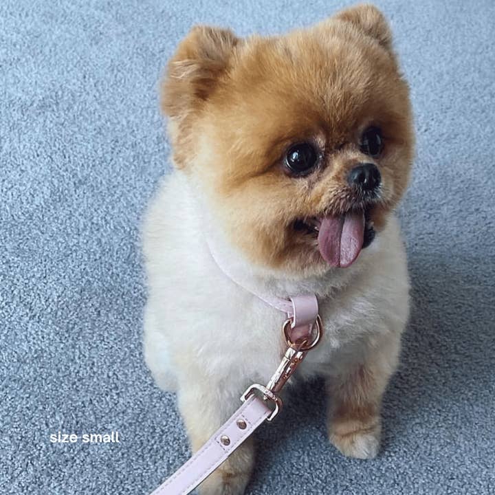 ST ARGO - Wholesale Pet harness – Dog - HARNESS - Pale Pink5