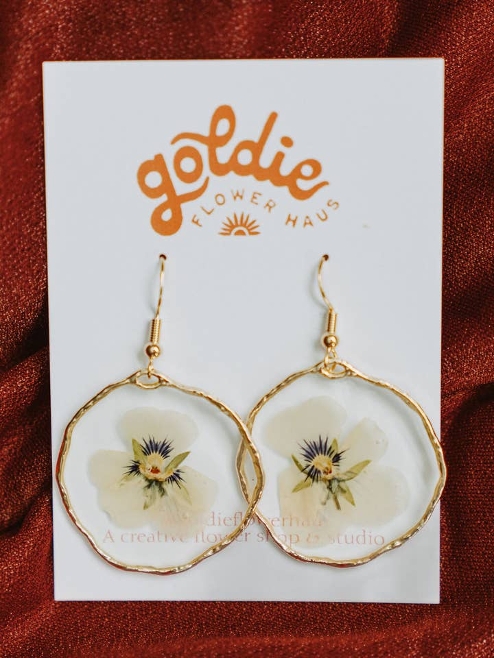 Pansy Blooms for wholesale by Goldie Flower Haus