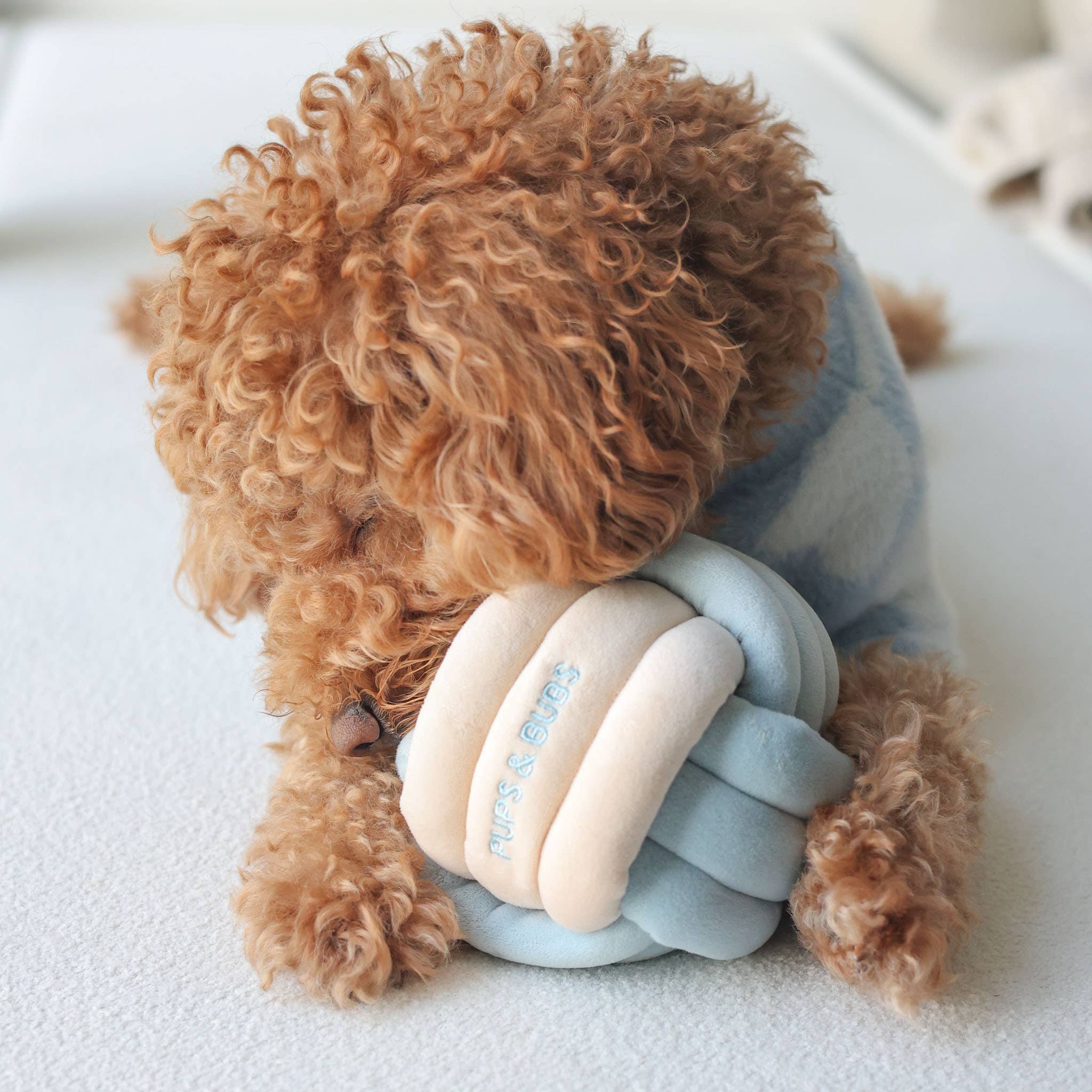 Pups & Bubs - Wholesale Pet Plush Toy - Dog - Snuffle Knot Nosework Toy5