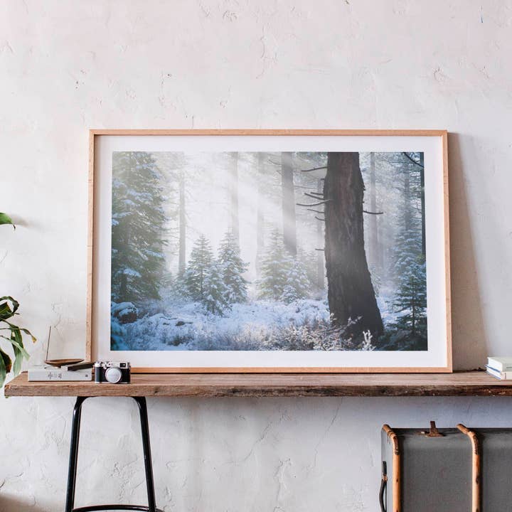 21 novembre 2016 - Forêt nationale de Tahoe, Californie pour la vente par Jess Gibbs Photography