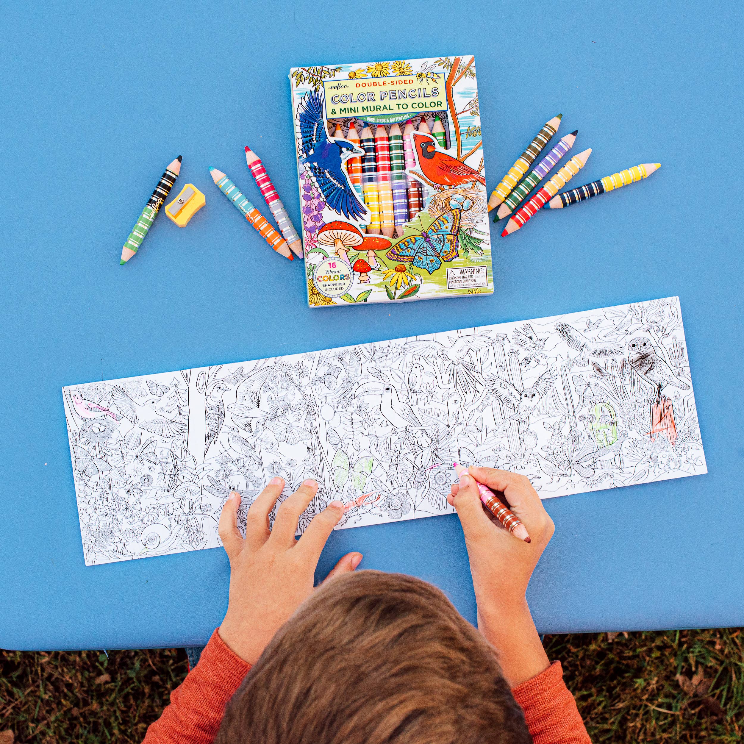 eeBoo - Vente Crayons de couleur - Ensemble de 8 gros crayons Bird & Butterfly avec mini fresque4